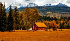 fall-maintenance
